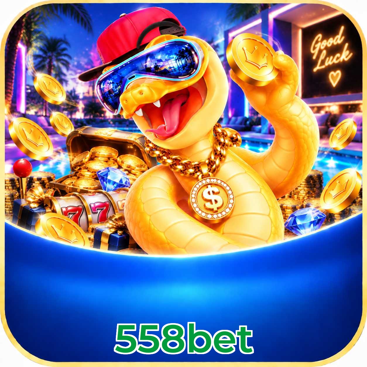 Comparação APP Mobile vs Versão Web 558bet